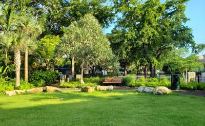 Beautiful sunny morning, blue sky and trees in the background, grassy area with rocks and a bench