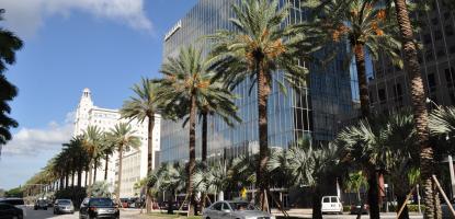 Alhambra Palms