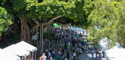 Drone shot of Gables Literacy Festival at the War Memorial Youth Center